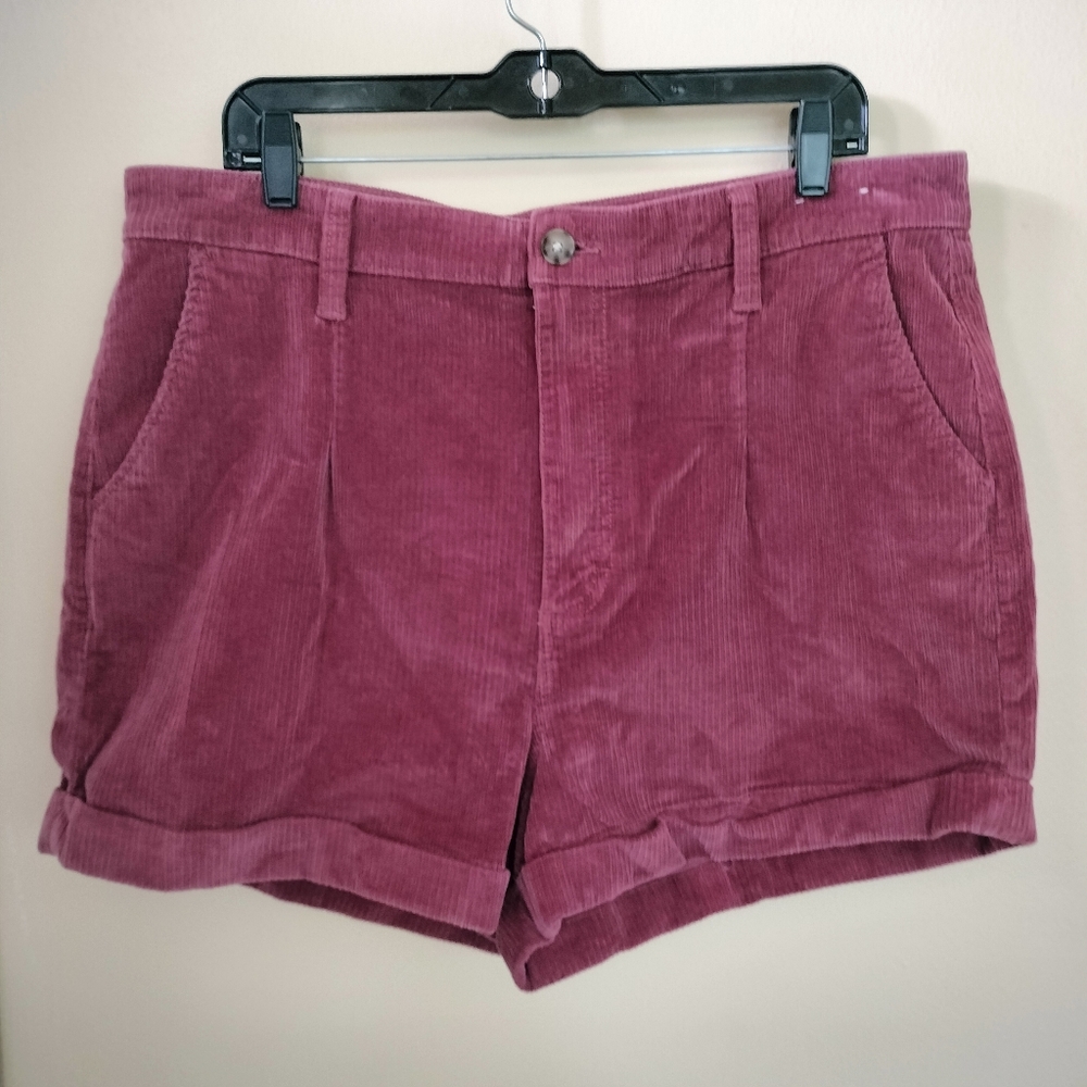 Express Shortie Extreme High Rise Corduroy Mauve Shorts 16 Festival Preppy